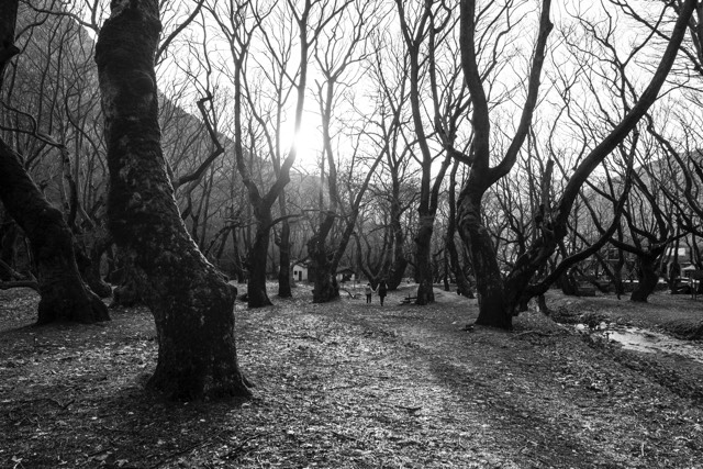 07-Tataridis-Sokratis-iFocus